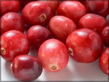 Пресни горски плодове - Червена боровинка