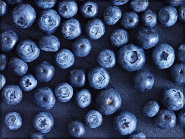Freeze berries - Black huckleberry