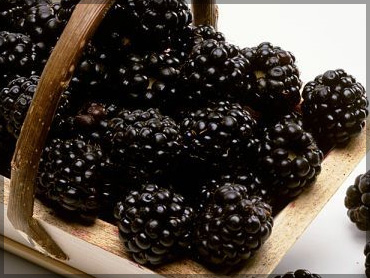 Freeze berries - Blackberries